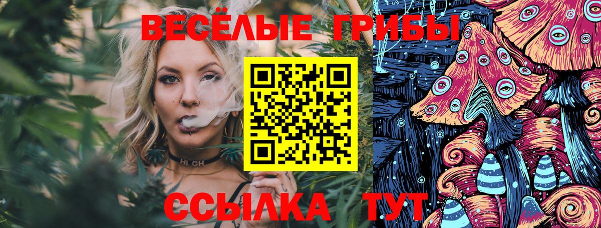 Псилоцибиновые грибы Cubensis Белебей